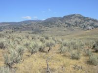 Trail near Hellroaring Creek